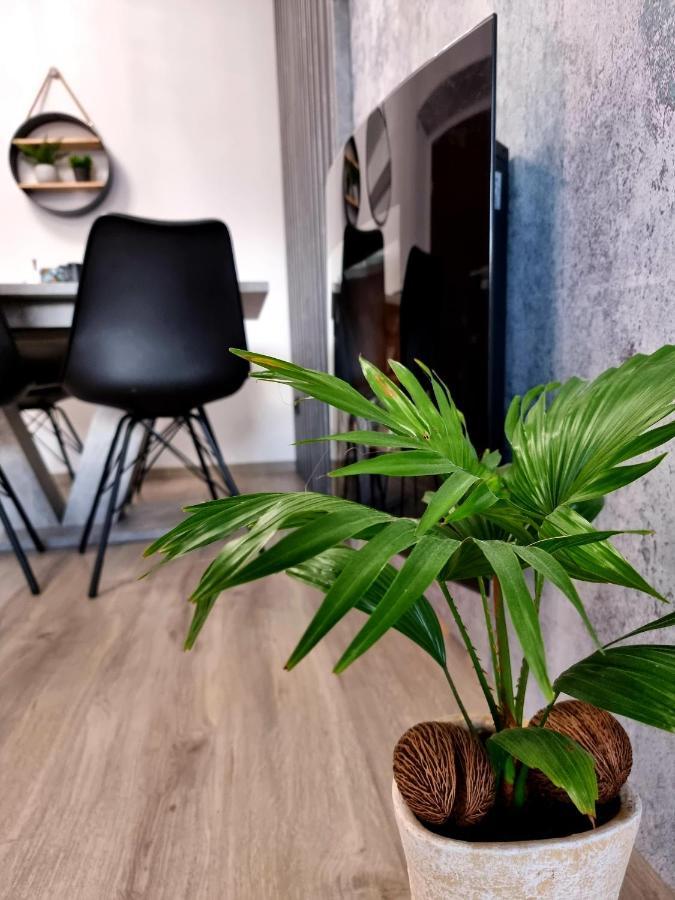 Apartament Jelonek W Karkonoszach Jelenia Góra Exterior foto
